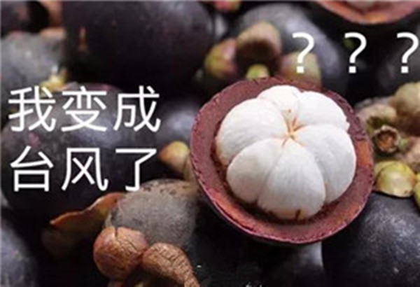 “山竹”還未走遠(yuǎn)，但貝朗全自動彎線機(jī)已正常上班啦！